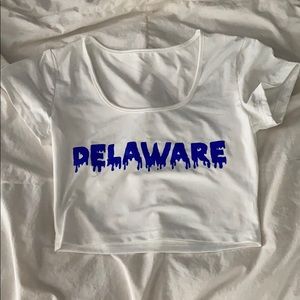 University of Delaware Tee Shirt NWOT